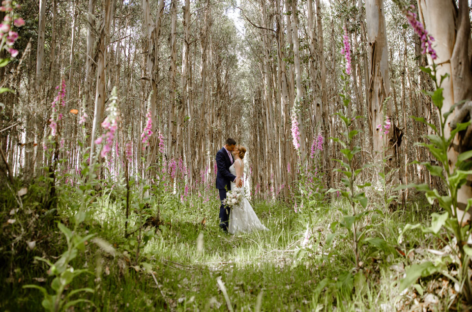 In the Forest