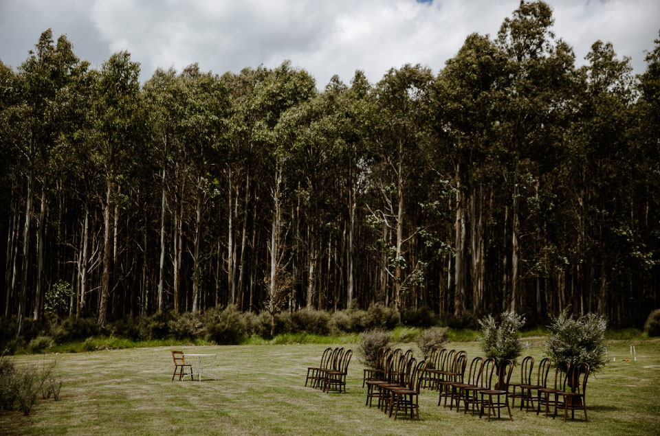 Forest setting